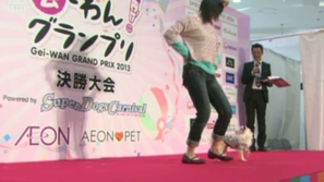 Конкурс за най-талантливо куче