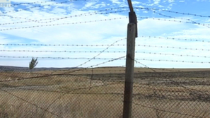 ООН иска мораториум на връщането на сирийски бежанци