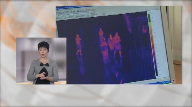 Не ебола, а малария...