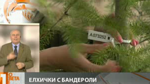 Елхички с бандероли