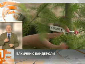 елхички бандероли
