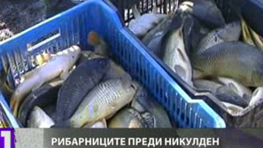 Слабо търсене на риба в Благоевградско