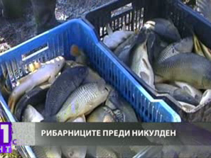 слабо търсене риба благоевградско