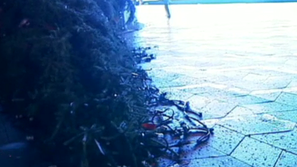 Германия в клопката на Ксавие