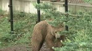 Ремонтират пловдивския зоопарк