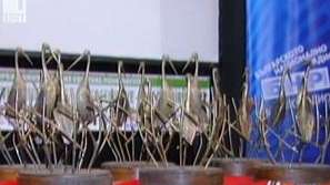 БНТ с 4 награди от екофестивала „Зелена вълна - 21-ви век