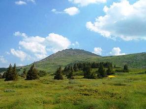 обществено обсъждане бъдещето парк витоша