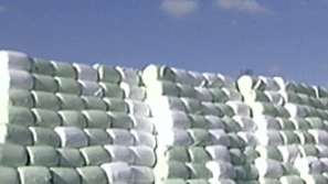 Днес трябва да бъдат закрити старите общински сметища