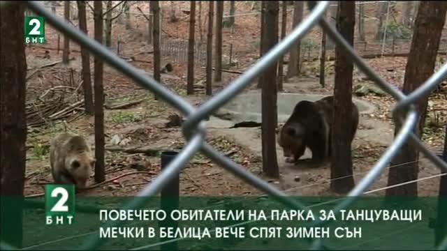 Повечето обитатели на Парка за танцуващи мечки в Белица вече спят зимен сън
