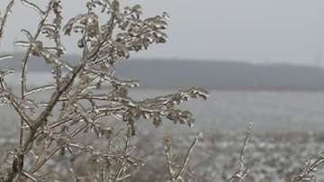 Сняг в Силистренска област