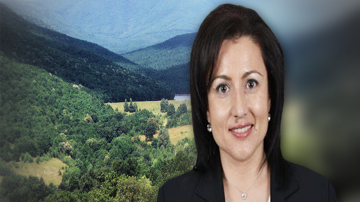 С 5% да се увеличат защитените гори, иска МЗХ