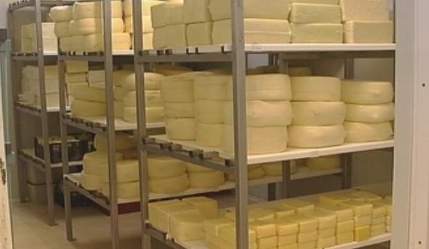 Млекопроизводители: Годината беше тежка за бранша