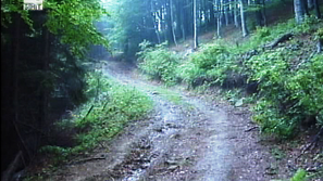 Жена загина в Троянския Балкан