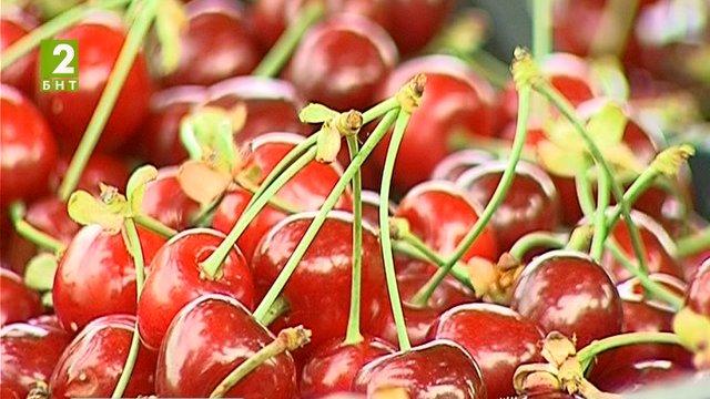 Черешите поевтиняват до седмица в Пловдивско