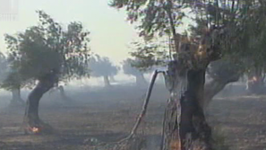 Пожари обхванаха Гърция