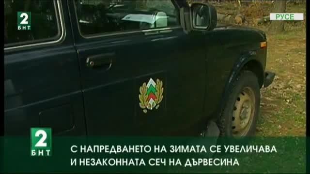 С напредването на зимата се увеличава и незаконната сеч на дървесина