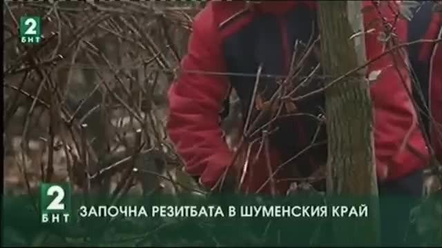 Започна резитбата в Шуменска област