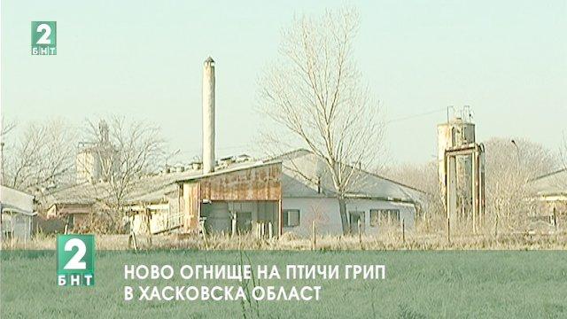 Ново огнище на птичи грип в Хасковска област