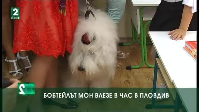 Бобтейлът Мон влезе в час в Пловдив