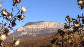 Екопроблеми чакат решение