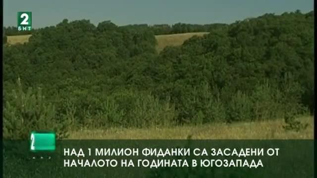 Над 1 милион фиданки са засадени от началото на годината в Югозапада