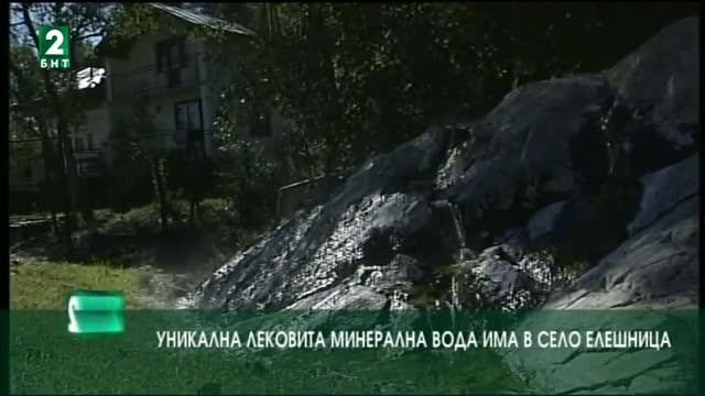 Уникална лековита минерална вода има в село Елешница