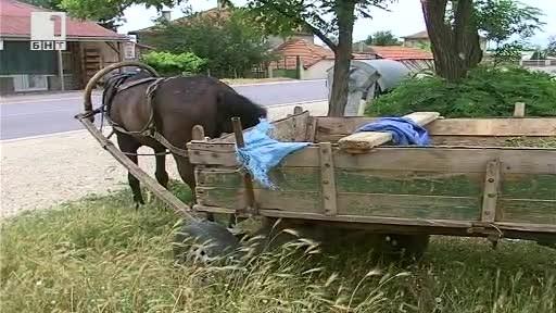  Дете загина на място след тежка катастрофа край Садово