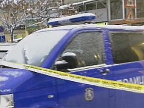 подробности случая боби цанков