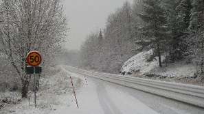 Арктически студ в Европа