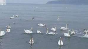 Температурни рекорди в България