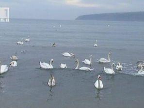 температурни рекорди българия