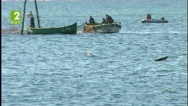 Богат риболовен улов на юг от Бургас