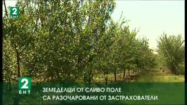 Земеделци от Сливо поле са разочаровани от застрахователи