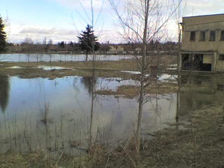снимка 5 Тимок преля, Брегово заплашено от наводнение