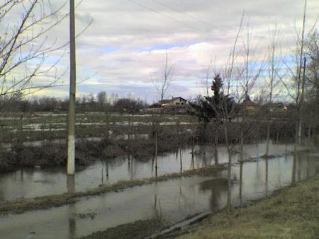 снимка 6 Тимок преля, Брегово заплашено от наводнение