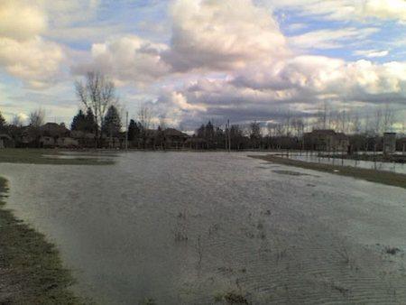 снимка 7 Тимок преля, Брегово заплашено от наводнение