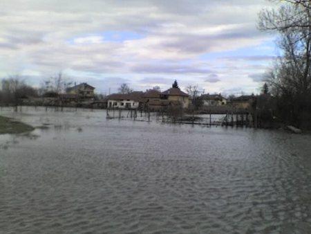 снимка 9 Тимок преля, Брегово заплашено от наводнение