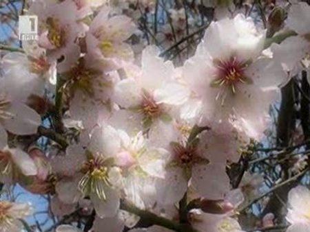 снимка 1 17 часа от пролетта