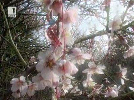 снимка 2 17 часа от пролетта