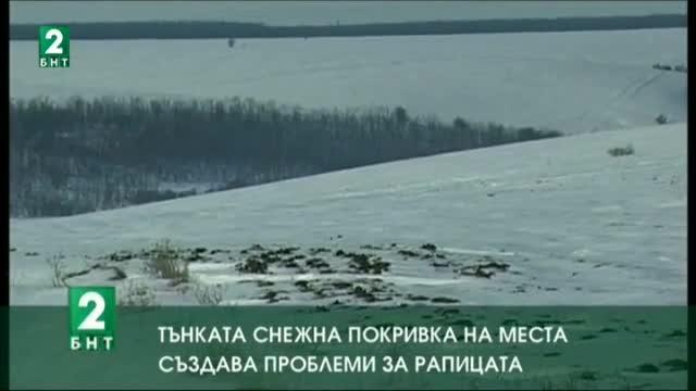 Тънката снежна покривка на места създава проблеми за рапицата