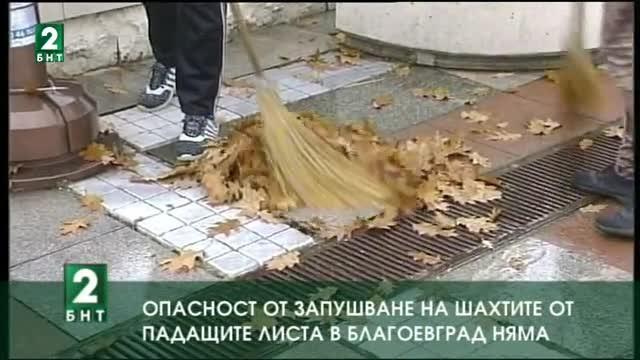 Опасност от запушване на шахтите от падащите листа в Благоевград няма