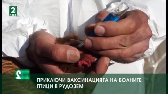 Приключи ваксинацията на домашни птици срещу Нюкясълска болест в Рудозем