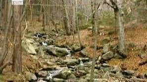 Краен срок за заменките