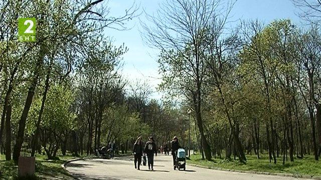В Пловдив пръскат тревни площи срещу кърлежи