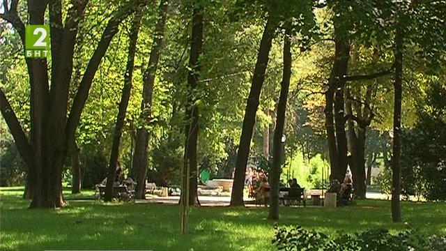Празници на движението в Пловдив