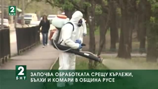 Започва обработката срещу кърлежи, бълхи и комари в община Русе
