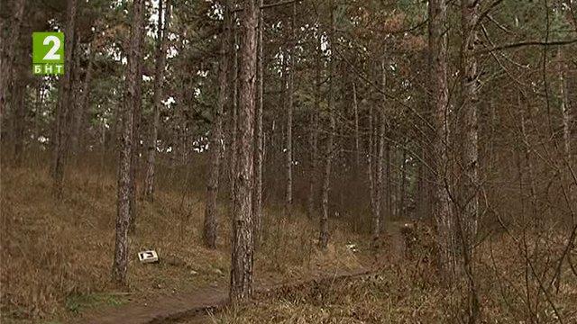 В Бургас обявиха пожароопасен сезон