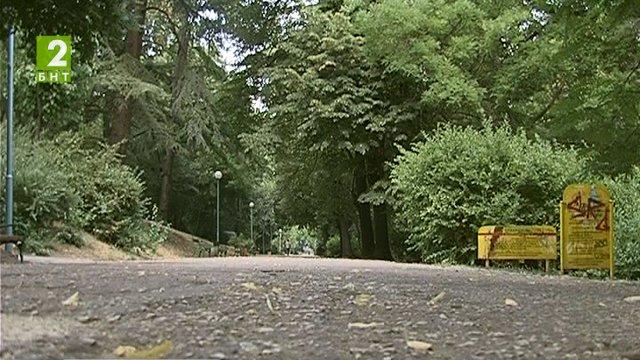 Търсят дървета на 100 години в Пловдив