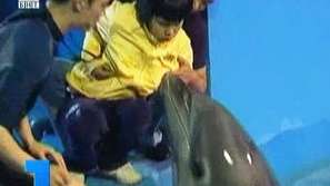 Делфини лекуват деца-аутисти