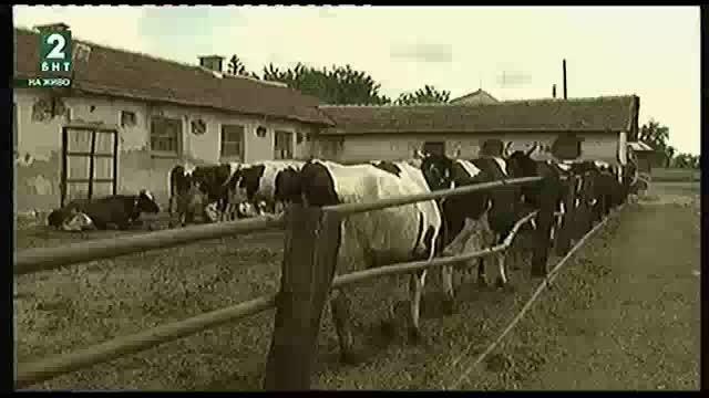 Животновъди от Русенско не намират работници